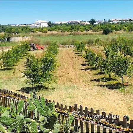 Vendégház Quintinha Da Foz Sao Pedro (Algarve)
